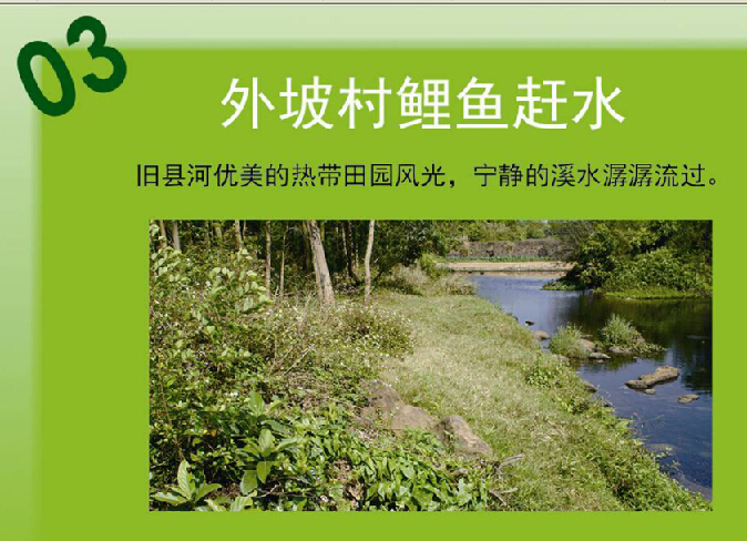 1f5f652f-d82a-4876-ad5f-05def6b458f0.jpg