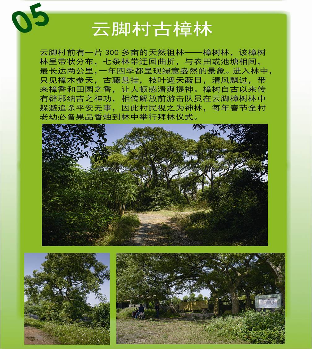 ef356fc9-d69a-4593-8380-4d3af5c300f6.jpg