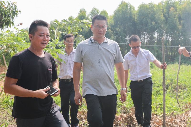 麻章区即时处理一起焚烧树叶起火事件3（图文 陈东敏）.JPG
