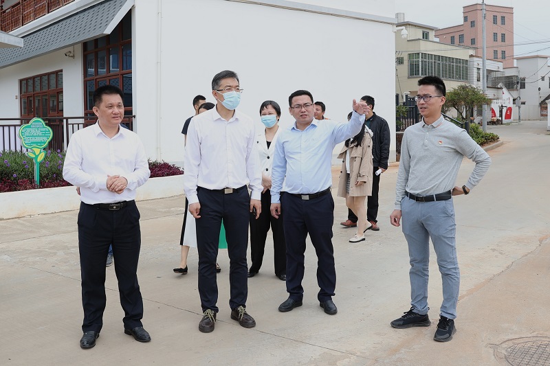 市委常委、宣传部部长郑浩然一行到麻章区旧县村调研（图文陈文雅杨宇） (2).jpg
