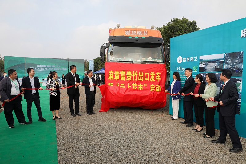 发车!麻章富贵竹“走出去” 开拓RCEP新市场2(图文杨阳传).jpg