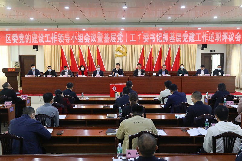 麻章区召开区委党的建设工作领导小组会议暨基层党（工）委书记抓基层党建工作述职评议会（图文杨阳传）.JPG