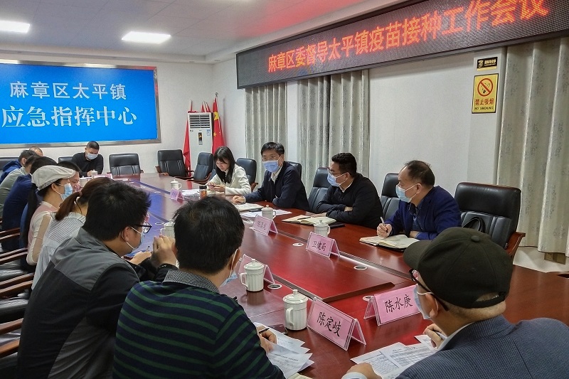 区委书记陈政带队到太平镇督导新冠疫苗接种工作 (2)(图文杨阳传).jpg