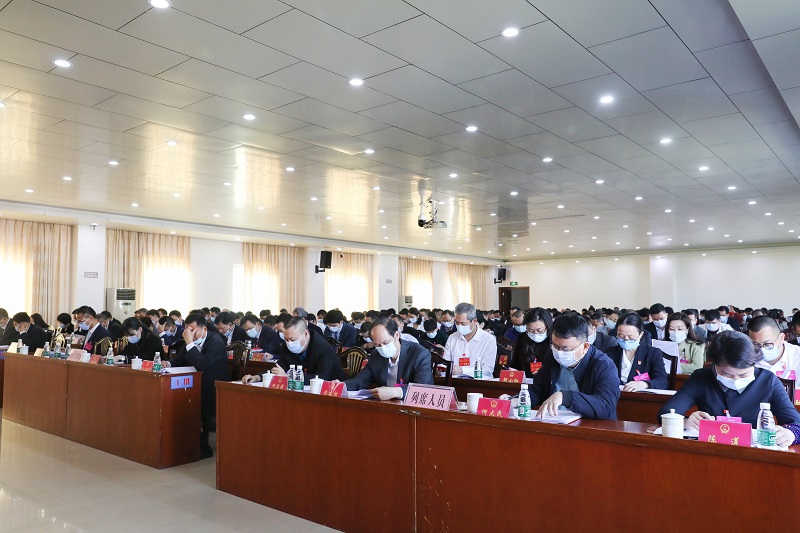 麻章十届人大二次会议开幕（图文杨阳传 杨宇）6.JPG