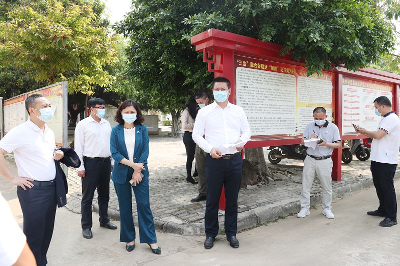 陈思远区长调研乡村振兴和疫情防控工作（图文：杨阳传）1.JPG