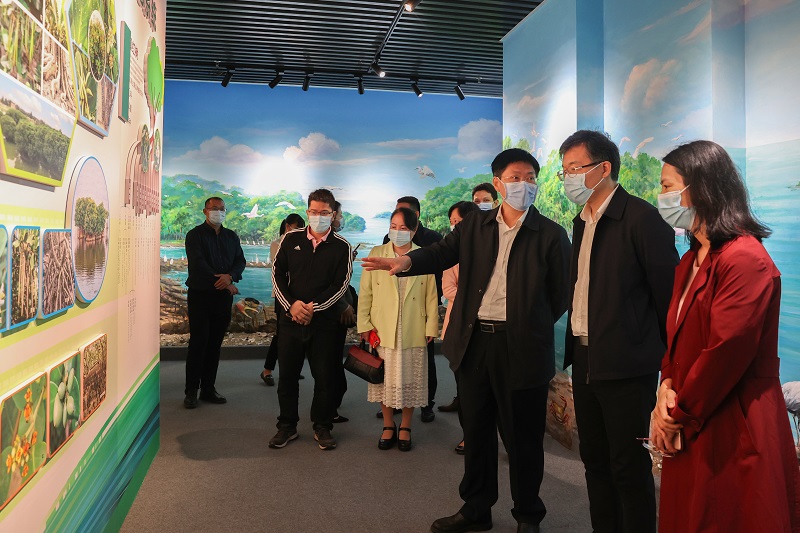 郑浩然到麻章区调研 “红树林之城”建设工作2.JPG