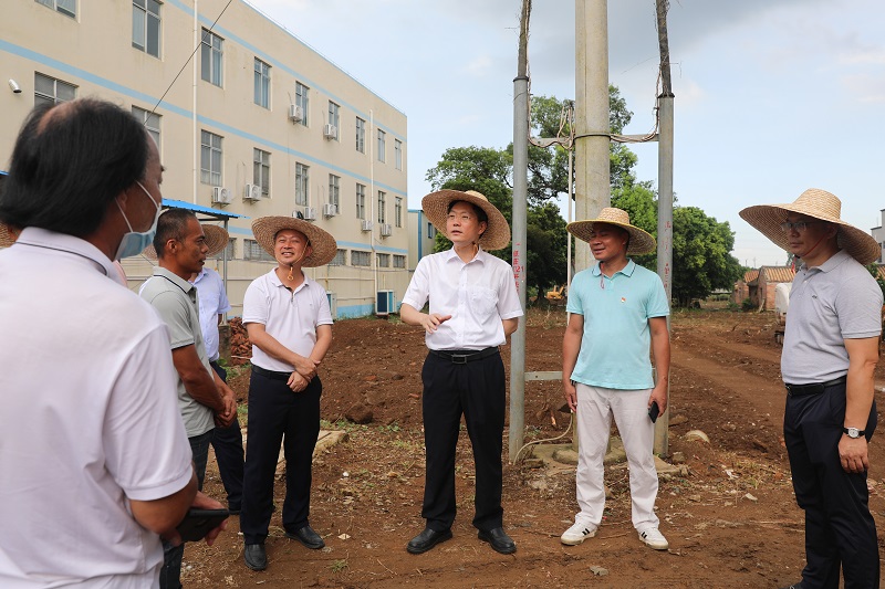 陈政书记率队到麻章镇调研检查乡村振兴、巡河暨开展“七一”慰问党员活动2.JPG
