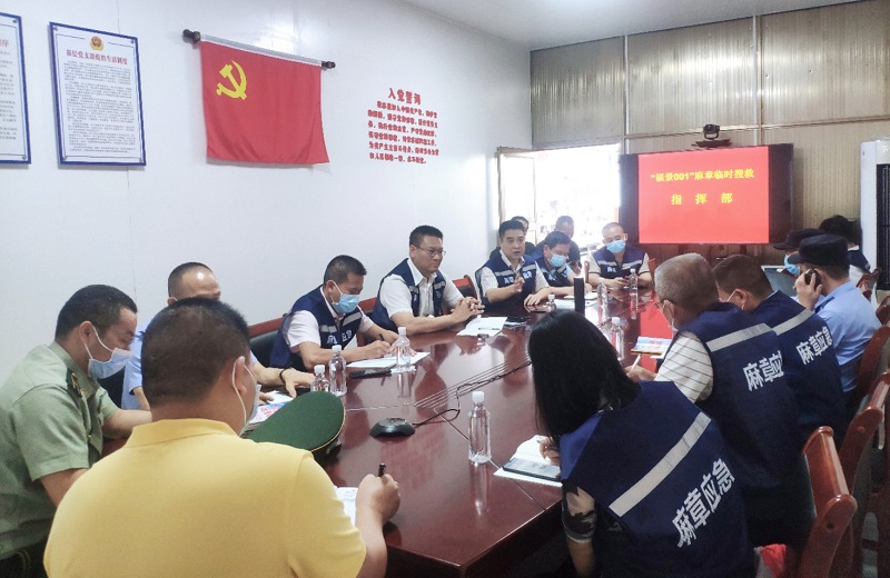 陈思远区长率队到太平镇通明港口部署搜救工作 (3).jpg