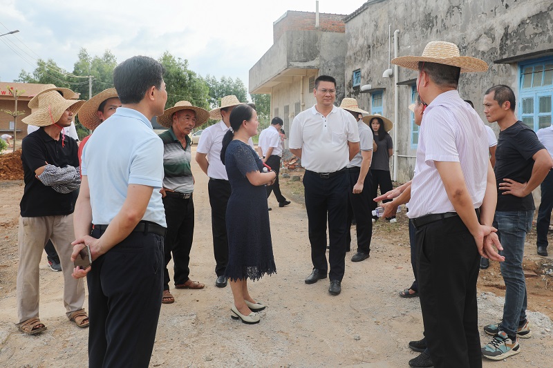 陈思远区长率队到太平镇调研智慧海防和乡村振兴工作 (2).JPG
