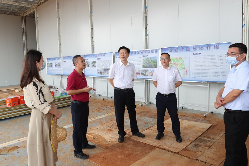 区委书记陈政调研西城片区综合开发项目 (2).JPG