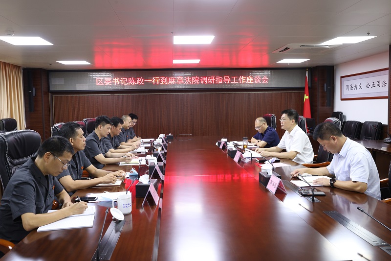 8.26陈政书记到区法院调研2.JPG