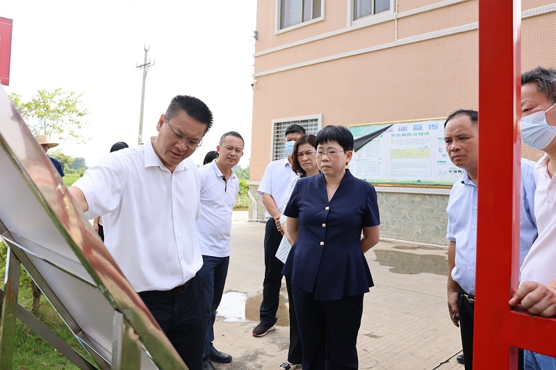 市领导到麻章镇白水坡村指导美丽宜居示范村建设 (3).JPG