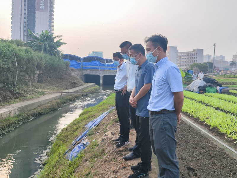 生态环境部珠江南海局到麻章开展黑臭水体整治督导帮扶工作.jpg