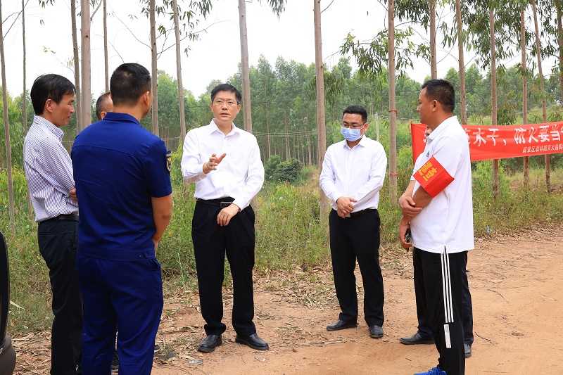 区委书记陈政率队检查环保督查整改落实情况并开展巡河、巡林等工作1.JPG