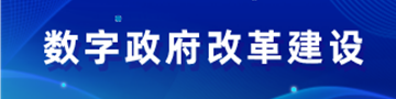 数字政府改革建设