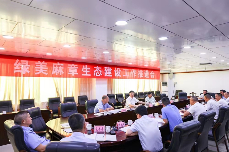 麻章区召开绿美麻章生态建设工作推进会.jpg