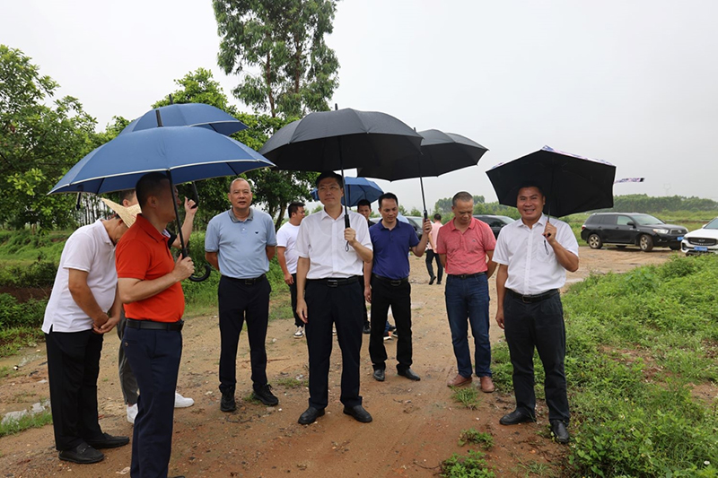 区委书记陈政到麻章镇调塾村督导重点项目土地征拆工作情况     .jpg