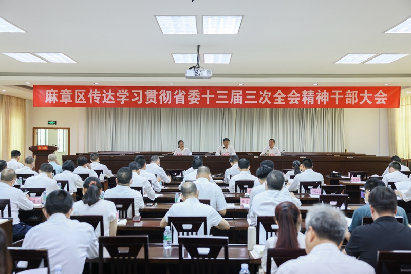 麻章区召开传达学习贯彻省委十三届三次全会精神干部大会.jpg