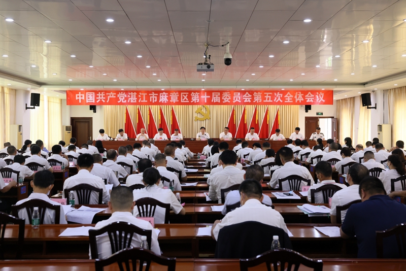 中共麻章区委十届五次全会召开.jpg