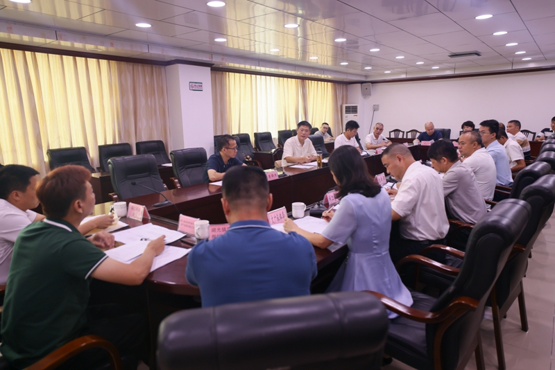 麻章区召开湖光镇属地内项目推进工作会议.jpg