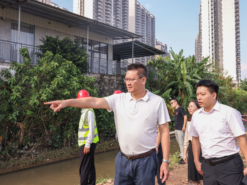 区委副书记、区长陈思远督导黑臭水体整治工作.jpg