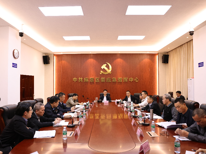 麻章区召开根治拖欠农民工工资工作领导小组会议暨根治欠薪冬季专项行动工作推进会议.jpg