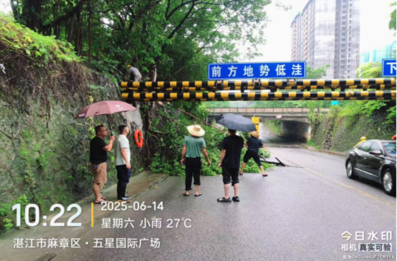 clipbord_1750123100836.png