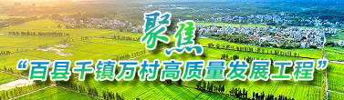 百县千镇万村高质量发展工程