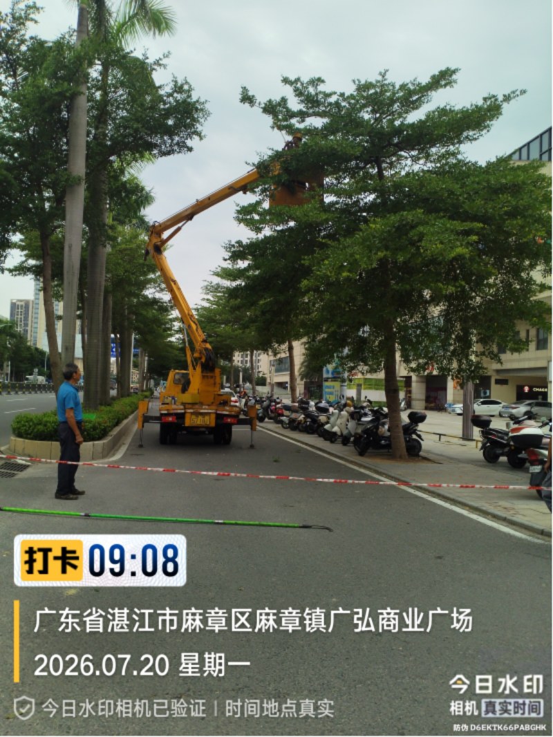 fb20317b-79d2-484d-b8d6-7f0cd9fc7a50.png